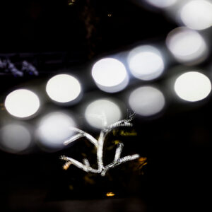 Teatro “Luzes da Meia Noite